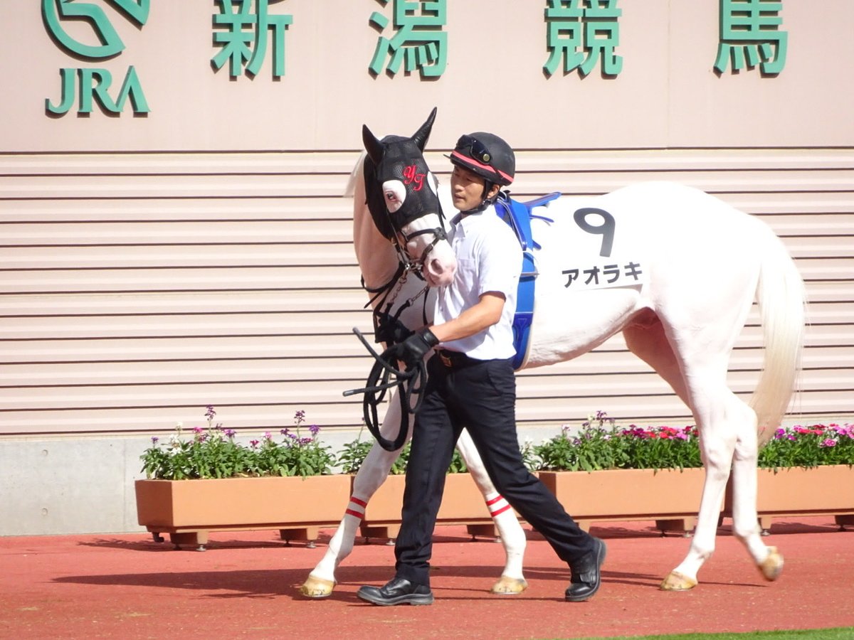 ビンス＠ガルパンおじさん tweet media