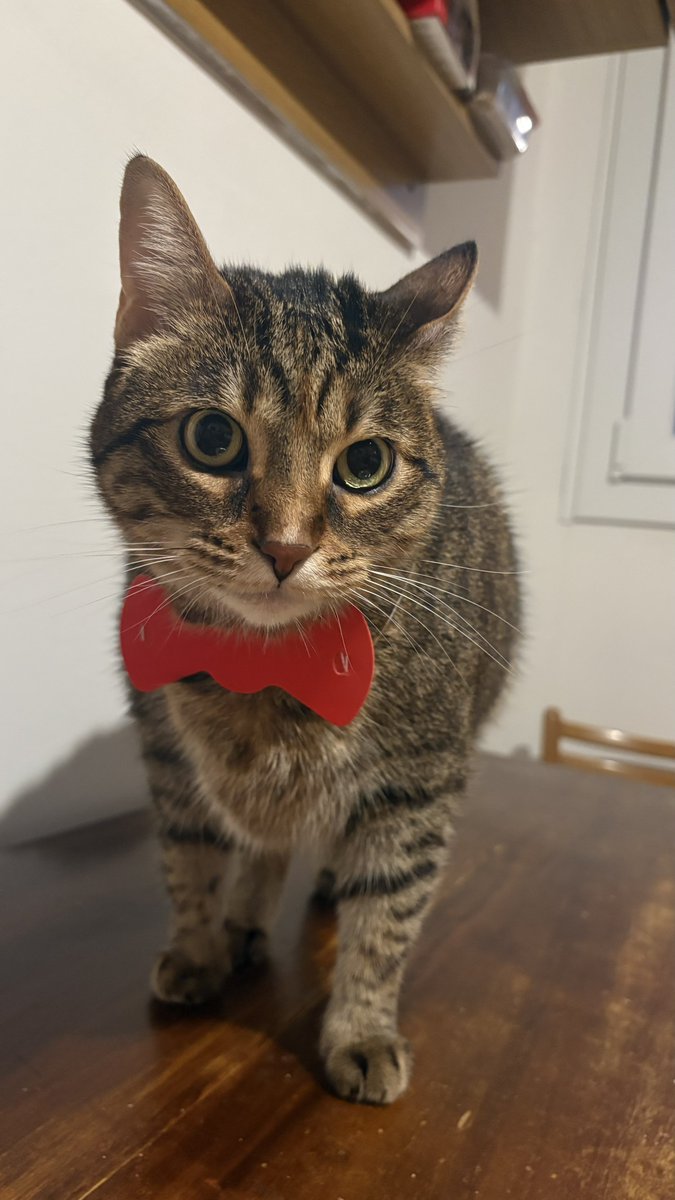 ali ˎˊ˗ ⋆ tweet media