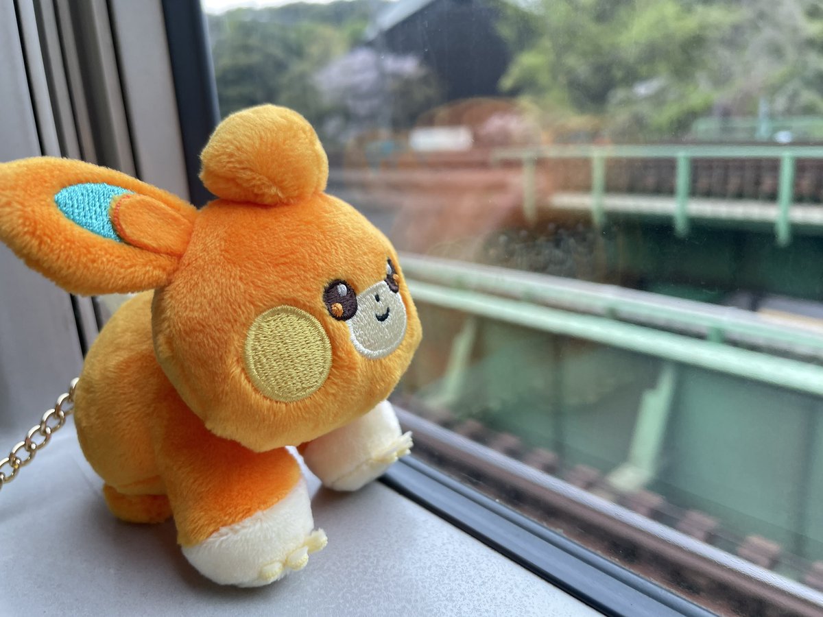 natsu3_ono's tweet photo. 先日、ぬい活デビューしました。相棒はパモ！！ https://t.co/hKks9zwPo1