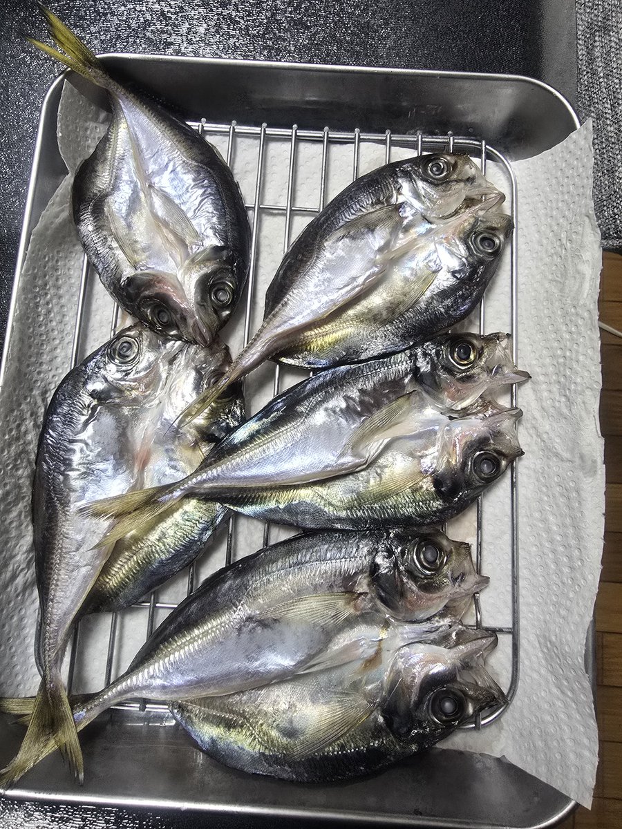 LittleHeart tweet media