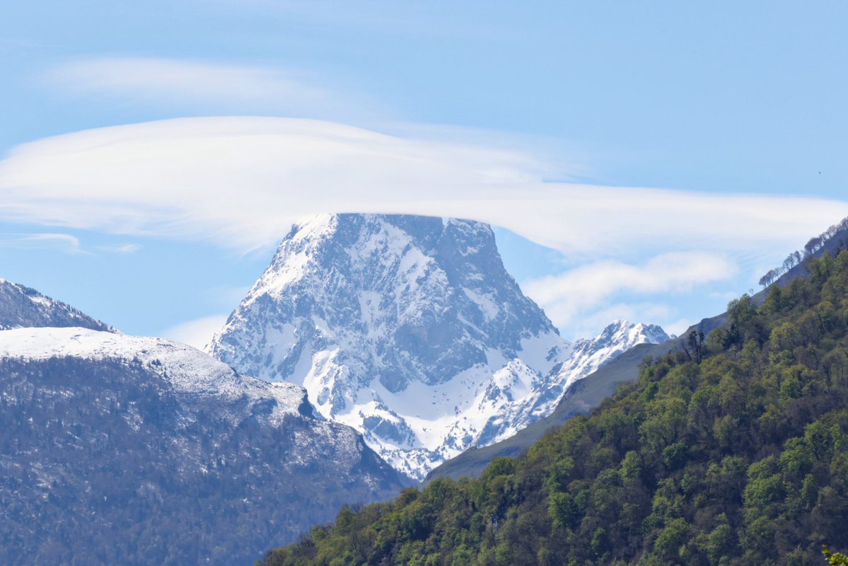 𝓕𝓻𝓮𝓭 𝓜𝓪𝓻𝓾𝓵𝓲𝓮𝓻 tweet media