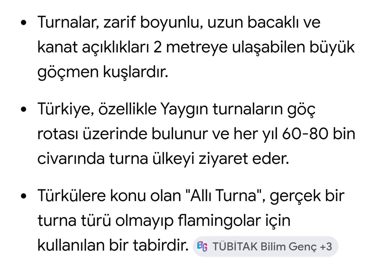 AlTan836's tweet photo. @alpertuydes https://t.co/HEGUQQDsPs
