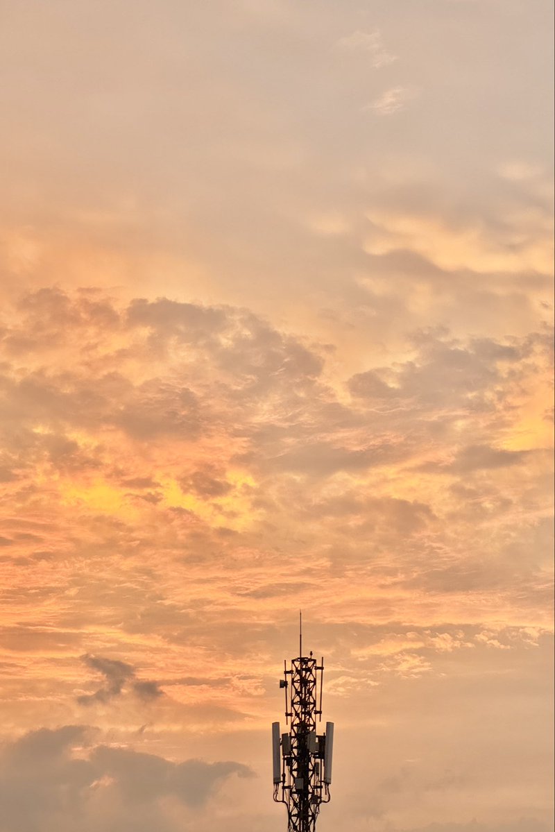 chi 30++ tweet media