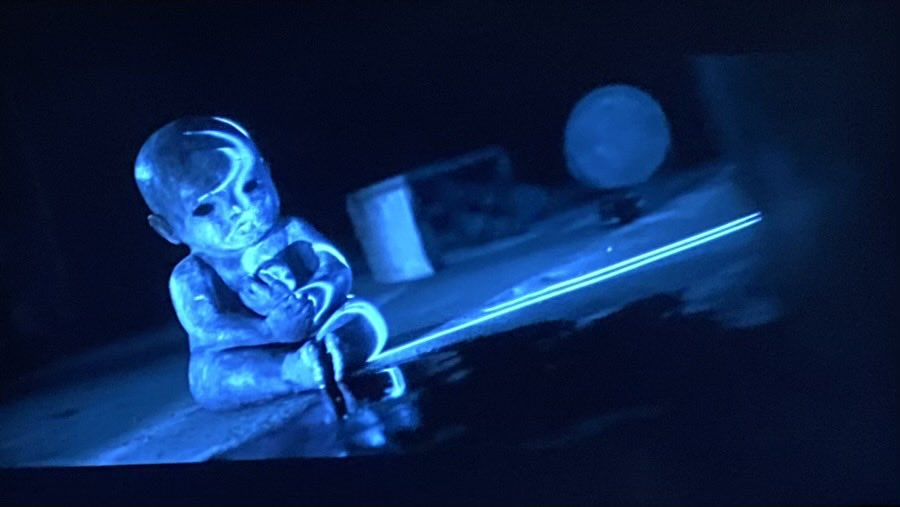 メガロドン将軍 tweet media