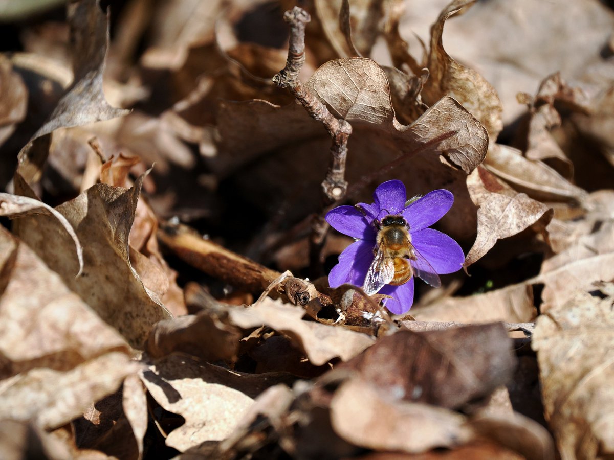 Kari Heinilä tweet media