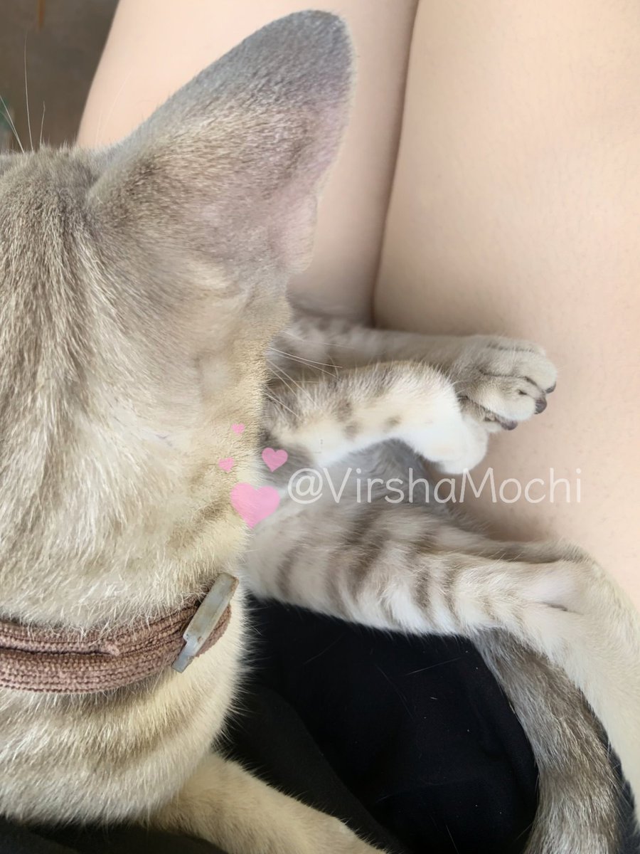 AhhVirsha's tweet image. ni cowo salah satu cowo aku