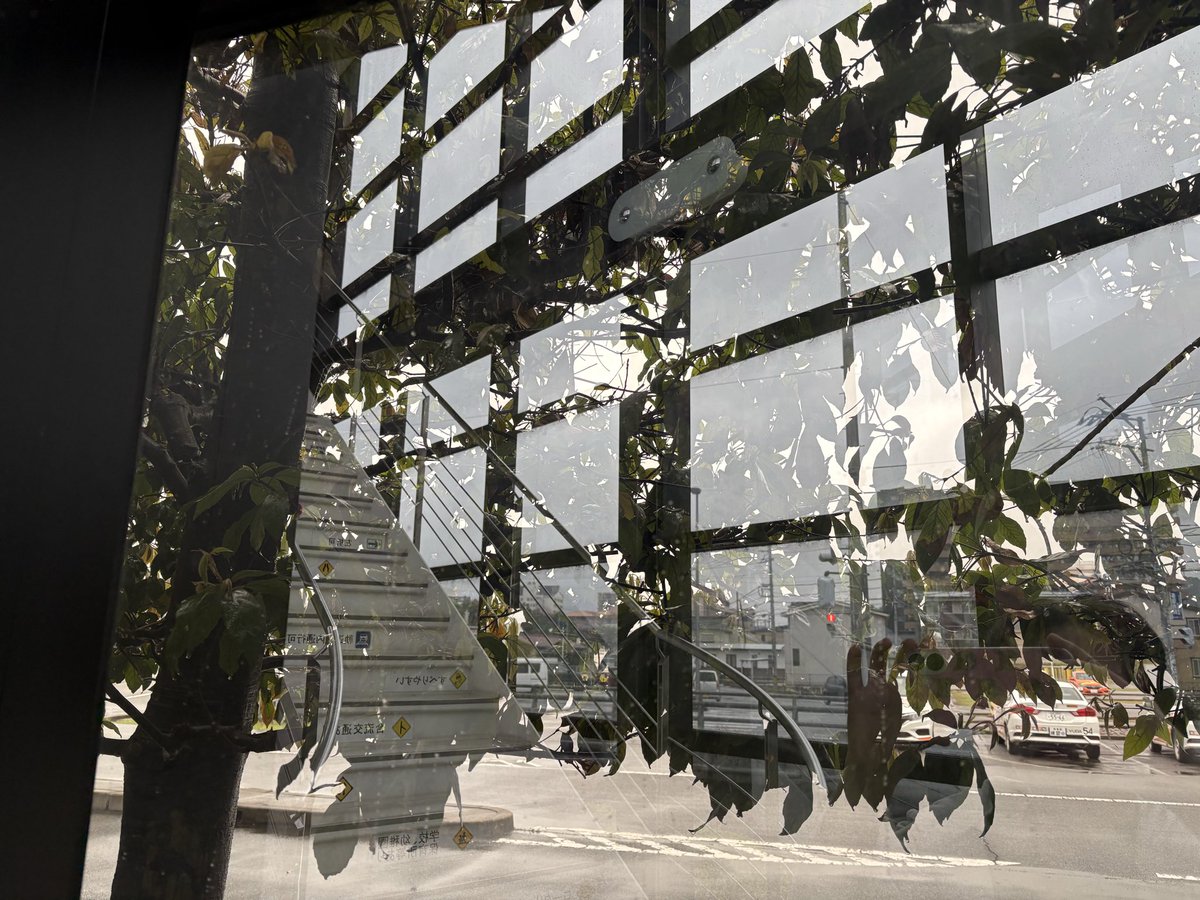 茶とら ちっこ tweet media