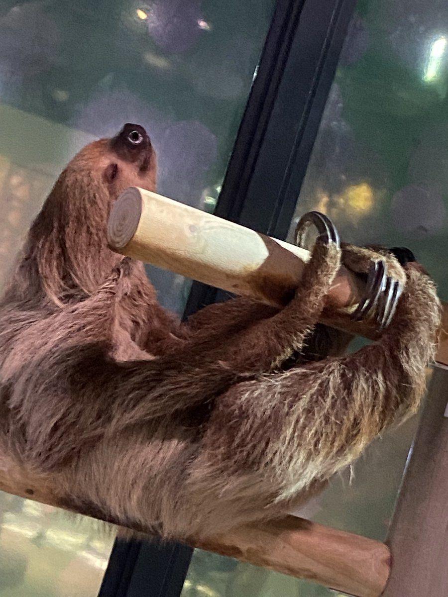 るかなそ tweet media