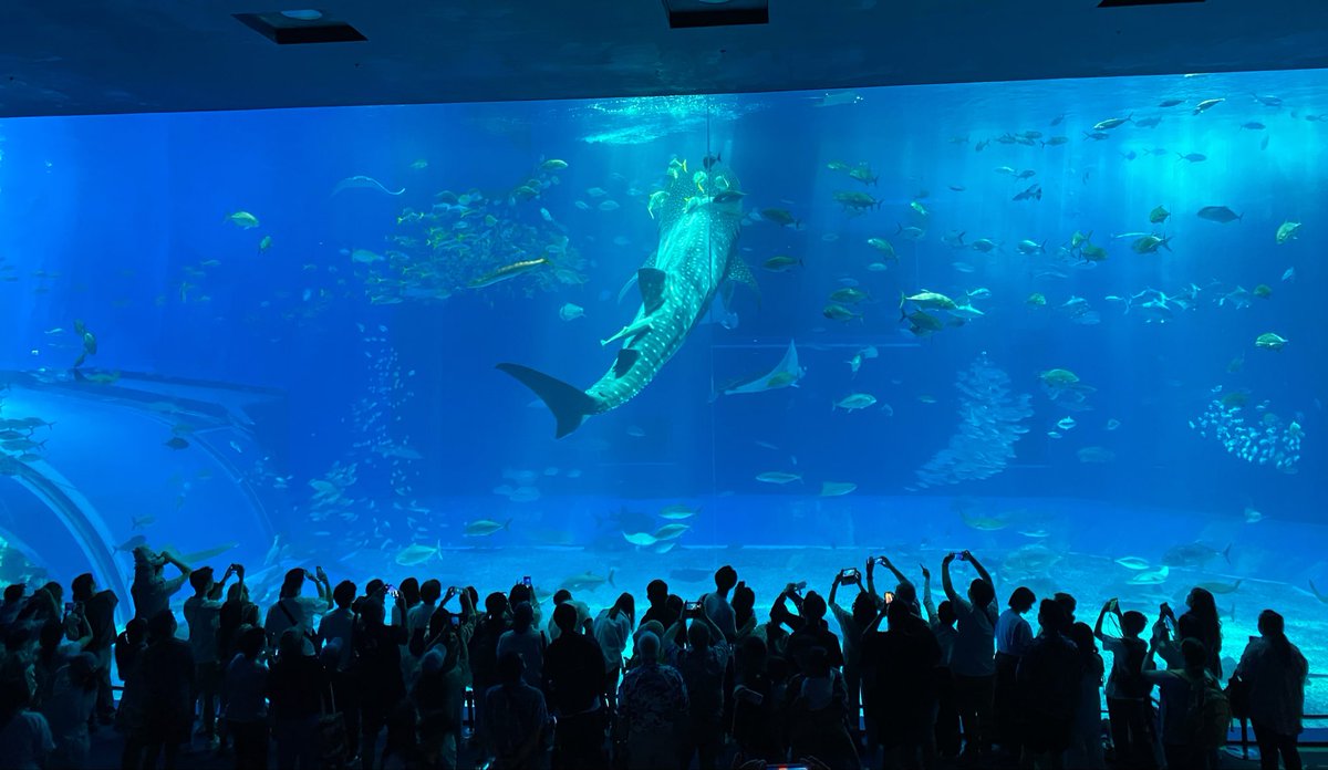 るかなそ tweet media