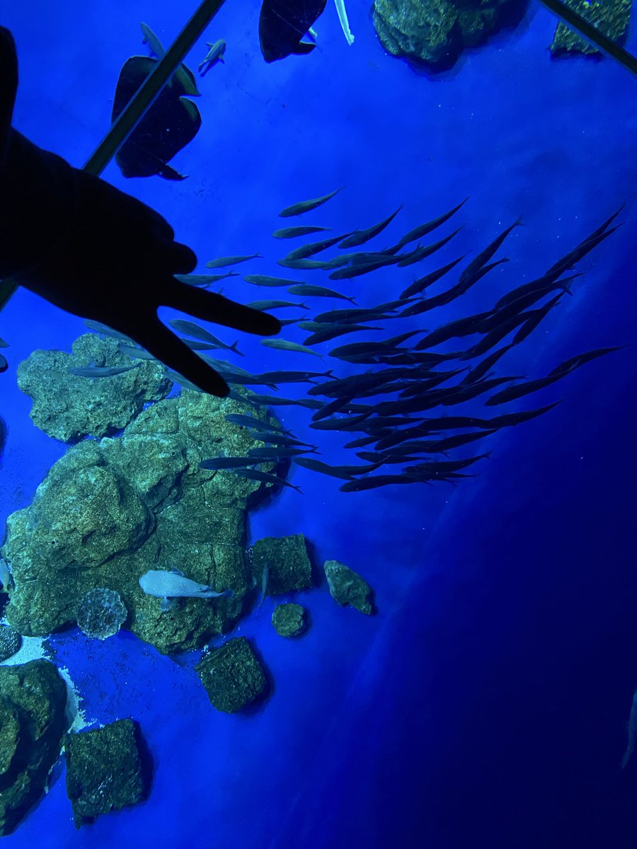 るかなそ tweet media