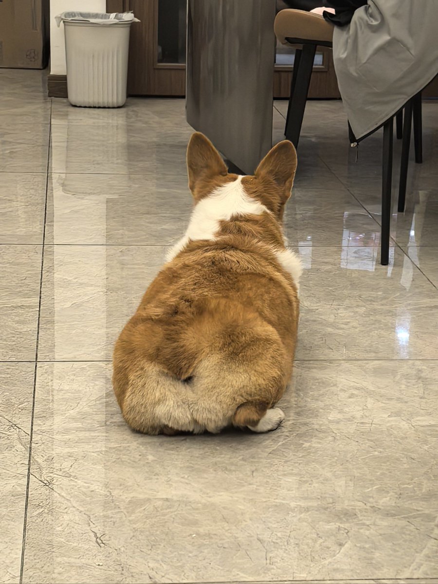 J. Naglich tweet media