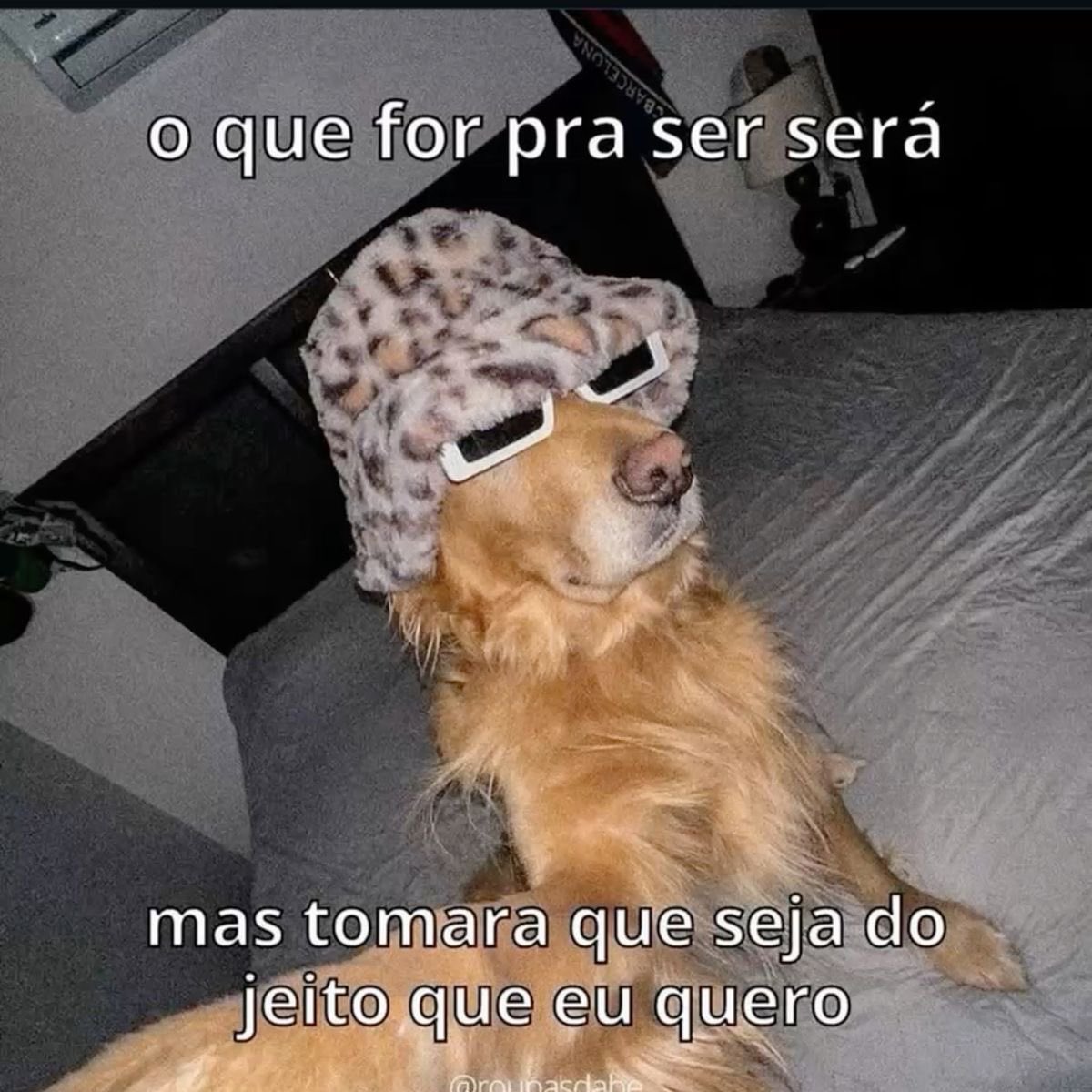 paginalixo1's tweet photo. https://t.co/HGZER20MDq