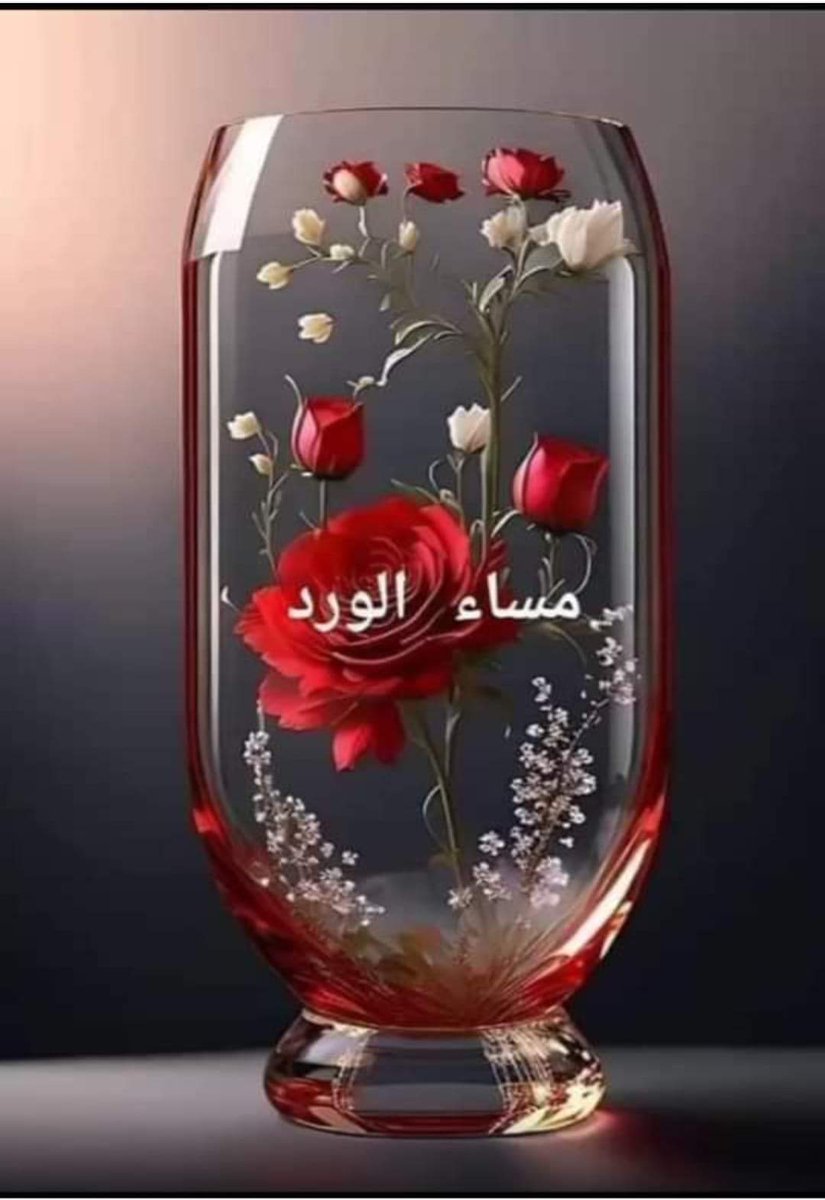 Mouhamad rabih tweet media