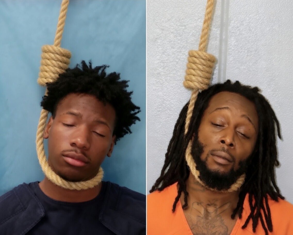 TheBlueEyedLion tweet media