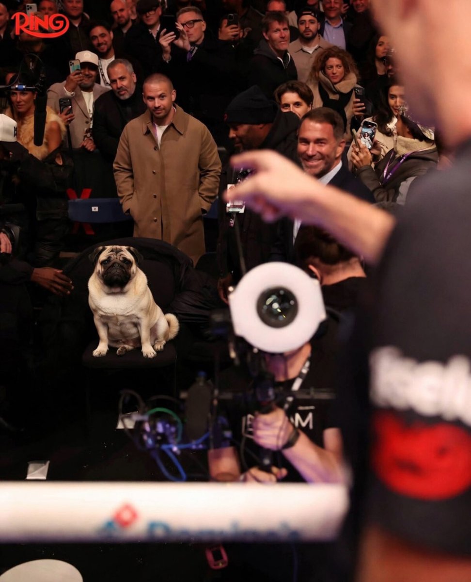 Fiirii88 💥 tweet media