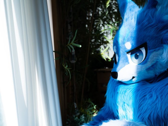 🐾화울(Whaul)🐾 tweet media