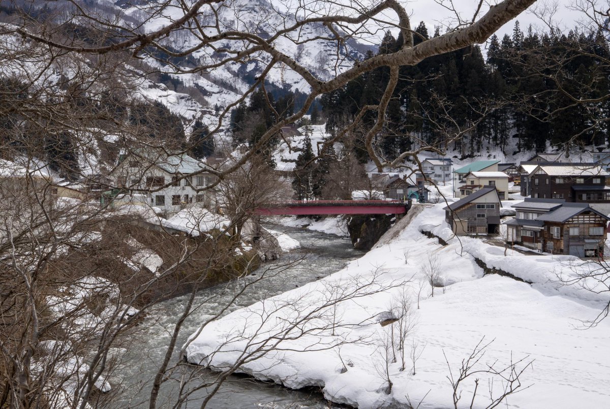 コロカル｜地域の知る人ぞ知るを発信するマガジン tweet media