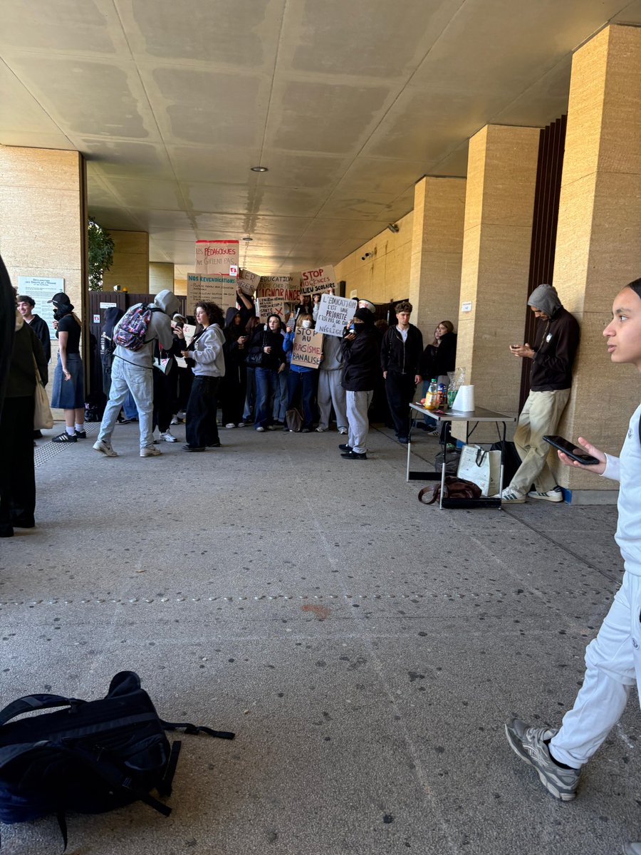 Theknowledgest tweet media