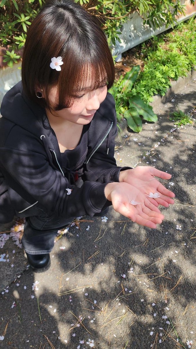 メタモン tweet media