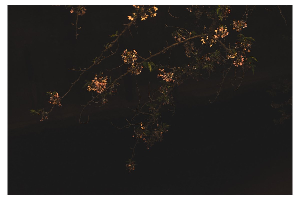 夜華