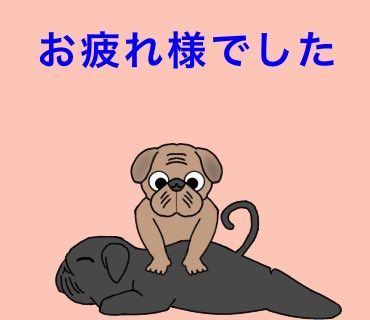 suke1247603135's tweet image. 今日1日、お疲れ様でした😊
 #パグ #pug