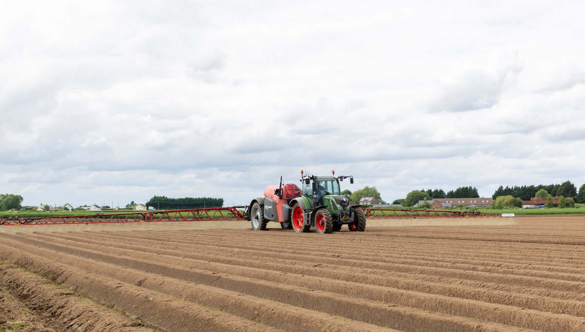 NichinoUK's tweet photo. Early weed competition remains one of the biggest risks to #potato #yield. 🥔
Gozai® (pyraflufen ethyl) adds a valuable contact option for controlling emerged broad leaved weeds when residual performance is challenged by conditions.
Read more 👉 https://t.co/cTrIQ9U1pD
#WeedControl #CropProtection
