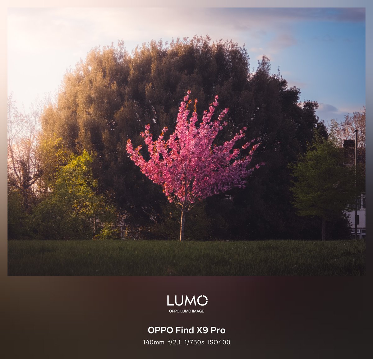 maciej_murawski's tweet image. A Neon Bloom

📸: OPPO Find X9 Pro, Master Mode RAW, edited in Lightroom Mobile

I'm really curious what the X9 Ultra will deliver. Would be amazing to get to try it out! 

#ShotOnOPPO