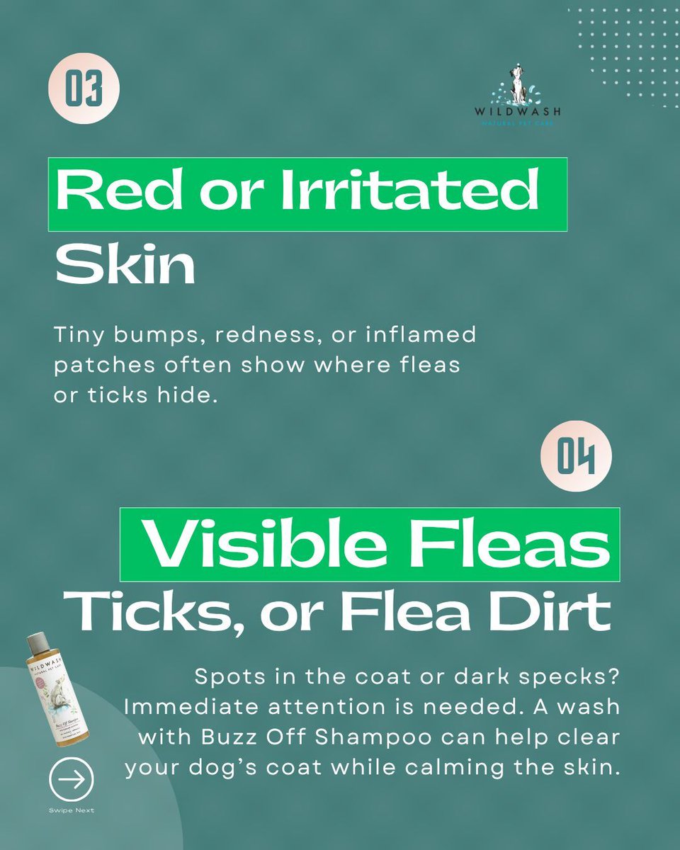 WildWash's tweet image. Bug-Free Walks 🐾

As the seasons change and outdoor adventures begin, fleas and bugs can quickly become an unwanted problem. The key is gentle prevention combined with effective care when needed
#doggrooming #dogcare #petcare #naturaldogcare #fleas #ticksprevention