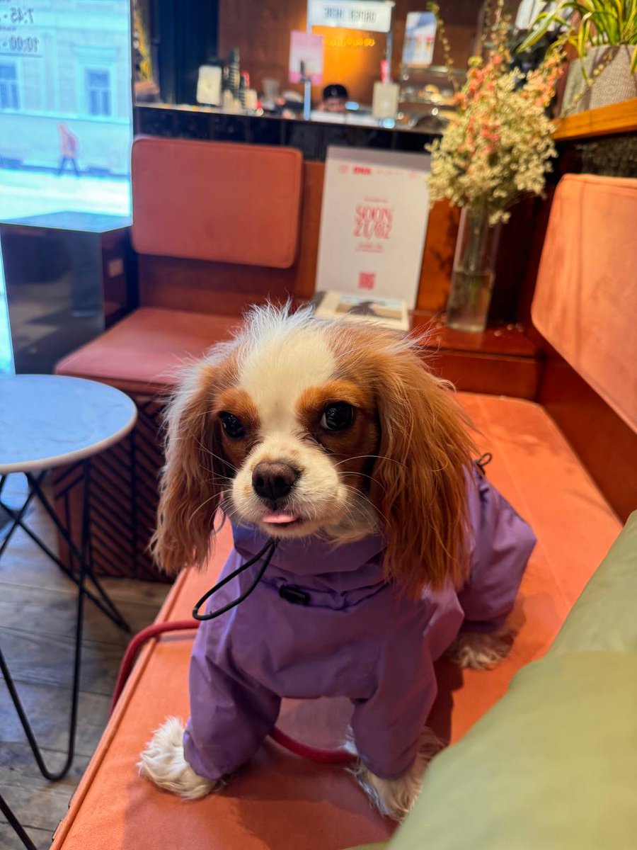 муниципальный физкультурник (parody) tweet media