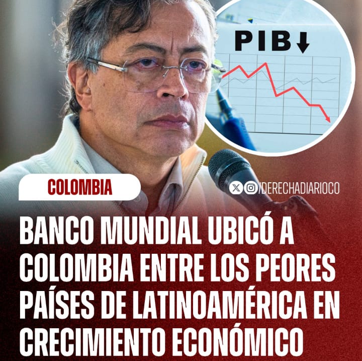 COMBATIENTE POR MI PATRIA. tweet media