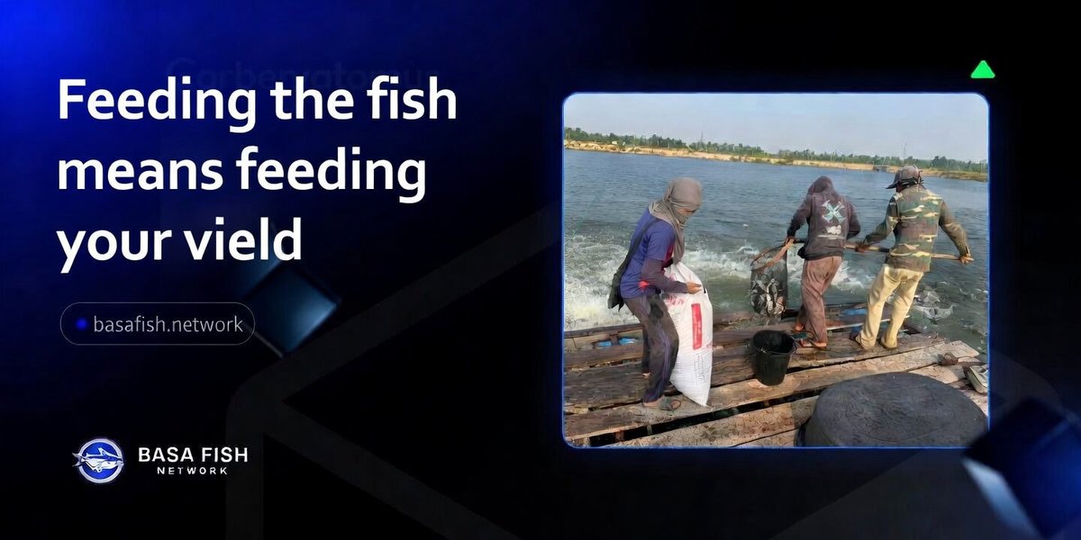 BASA FISH NETWORK tweet media