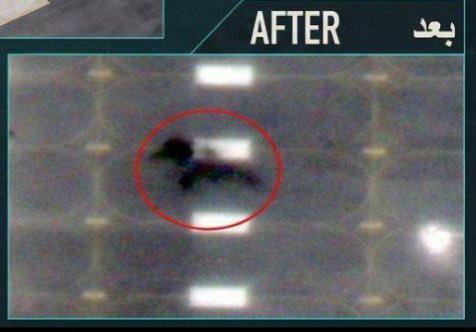 Arya Yadeghaar (Backup) tweet media