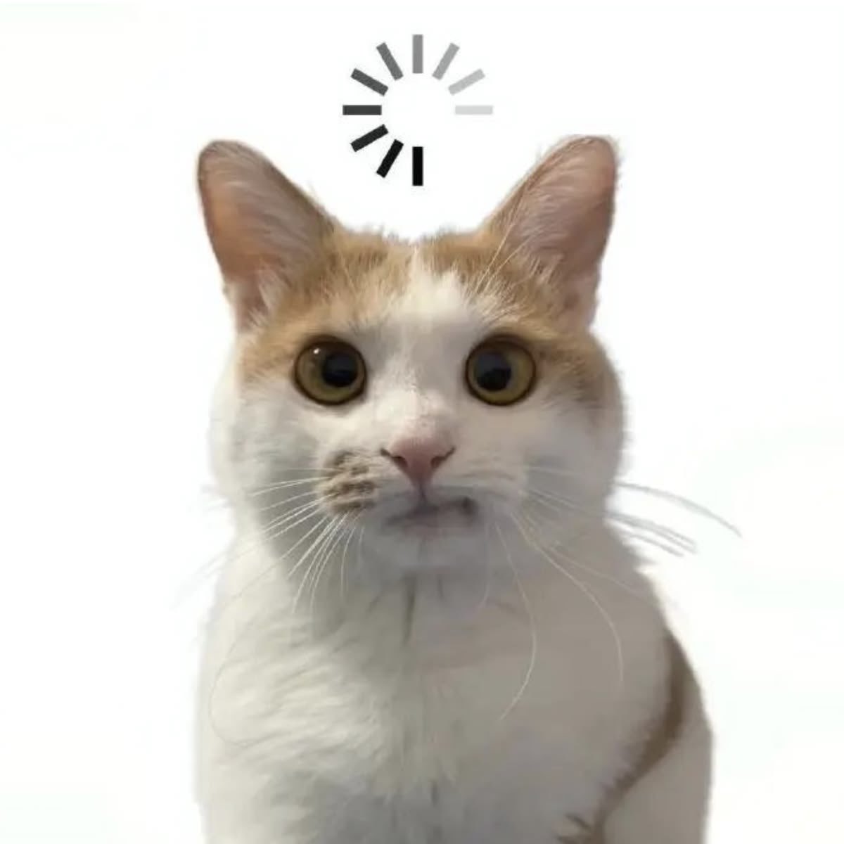 ☁️♡ tweet media