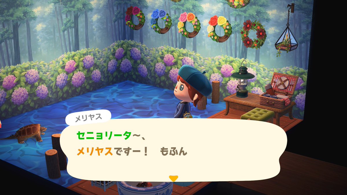 森へ行ってみた
1年4か月ぶりだってさ
もっと時間経ってると思ってた

セニョリータって何

しかし森の夜ってこんなに暗かったっけ？