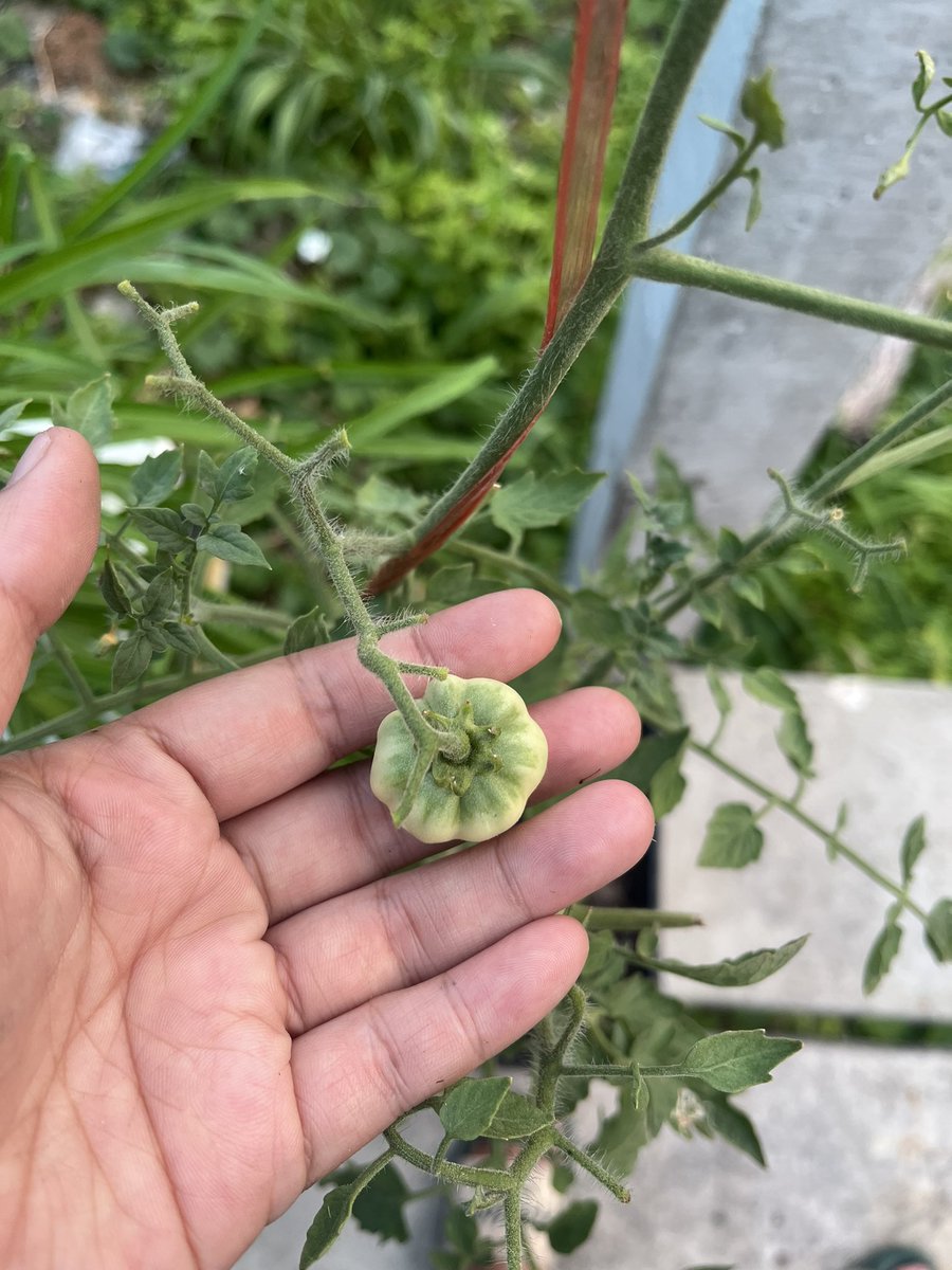 𝐅𝐀𝐇 ¹⁴ tweet media