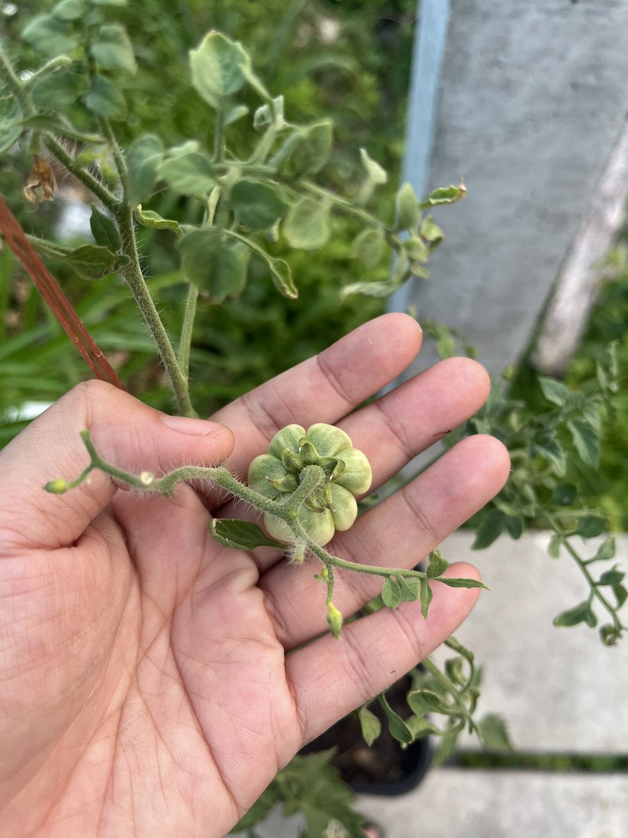 𝐅𝐀𝐇 ¹⁴ tweet media