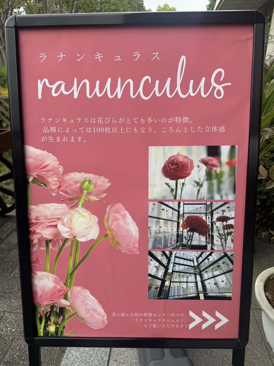 ギュス tweet media