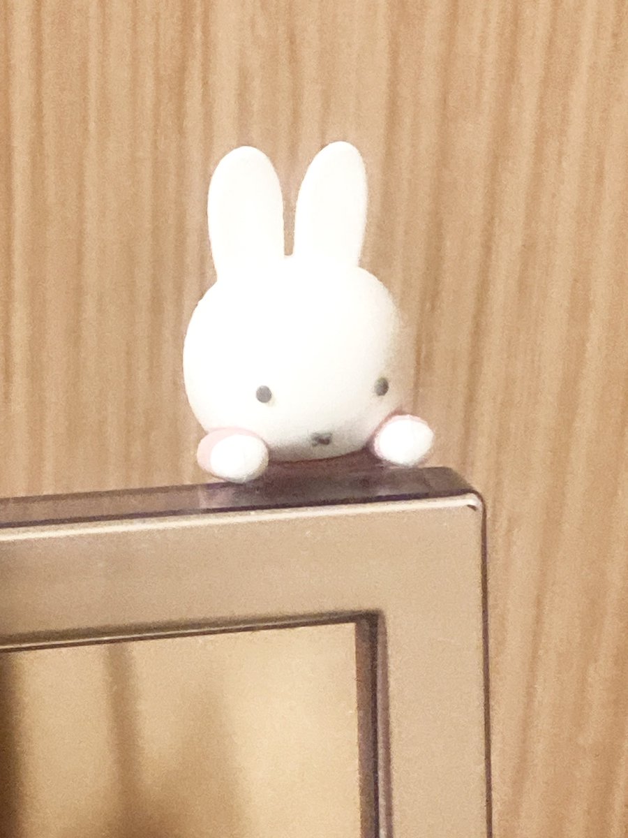 ひょっともミッフィーちゃん購入しました〜💕 ミラーに付けてみました〜✨