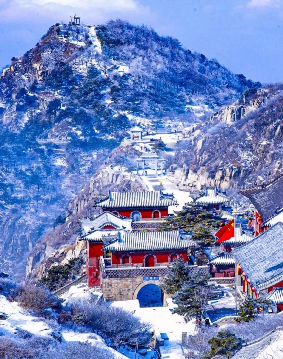 迷迷瞪瞪（互fo互赞）🌺🌺 tweet media