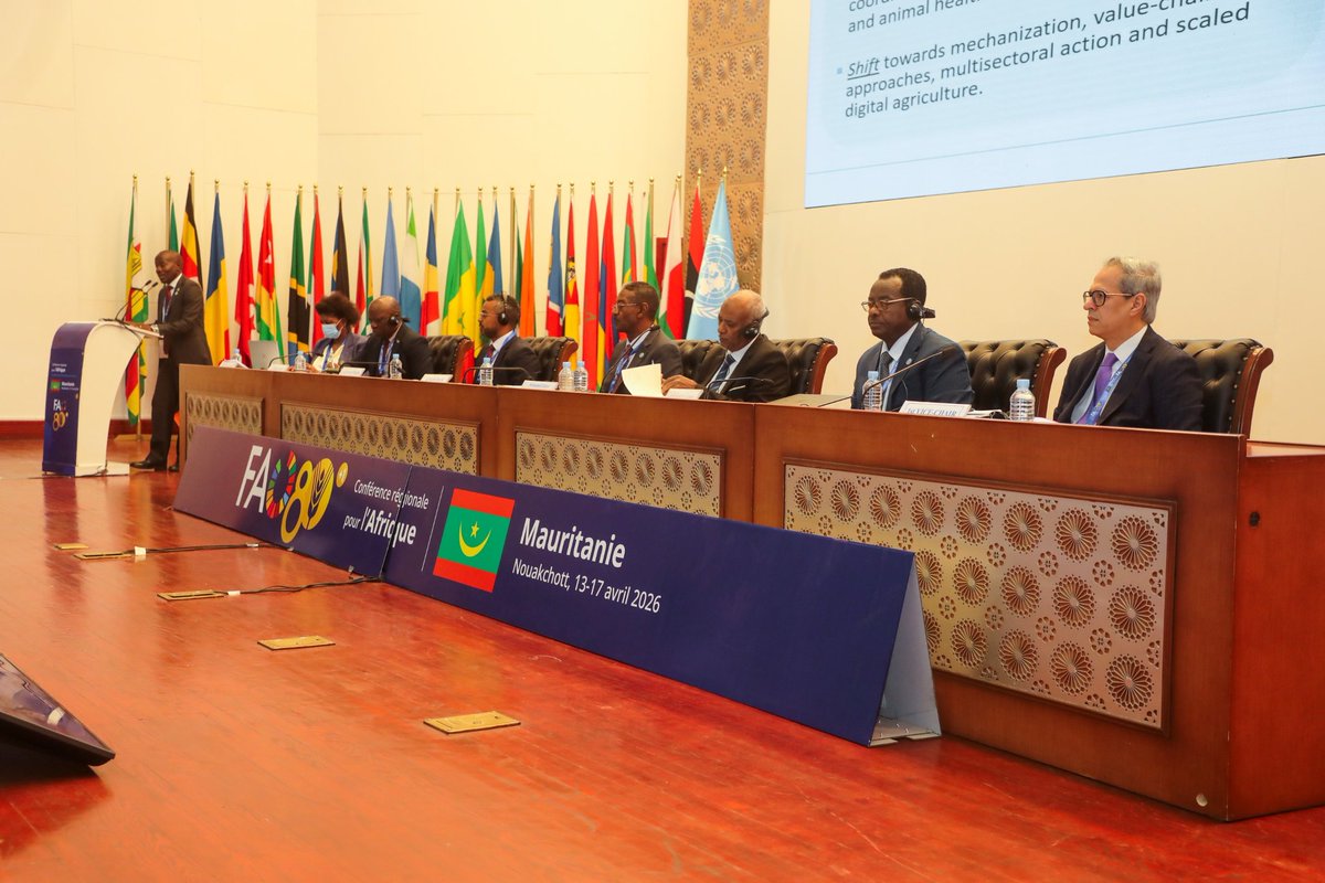 FAOAfrica's tweet photo. At #ARC34, FAO’s results in Africa show what works:
🎯 early warning + anticipatory action
🎯 climate-smart approaches
🎯 stronger country ownership
Delivery is shifting from crisis response to long-term systems change.
More: https://t.co/xzYteIlmDl https://t.co/NUOUuS49rZ