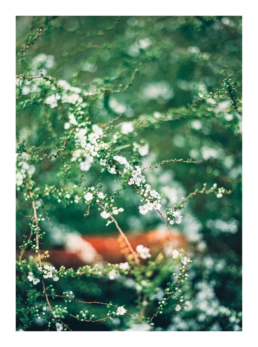 宵ノ入 tweet media