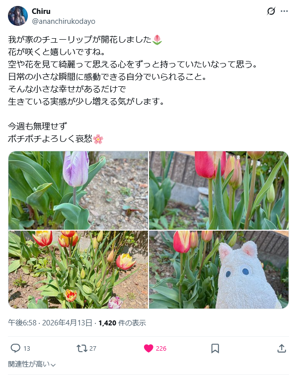 hirokazu_niwa's tweet image. #Chiru さん🌹

チューリップ綺麗🌷

#Vocalist-piano-dance💃/solo #musician/