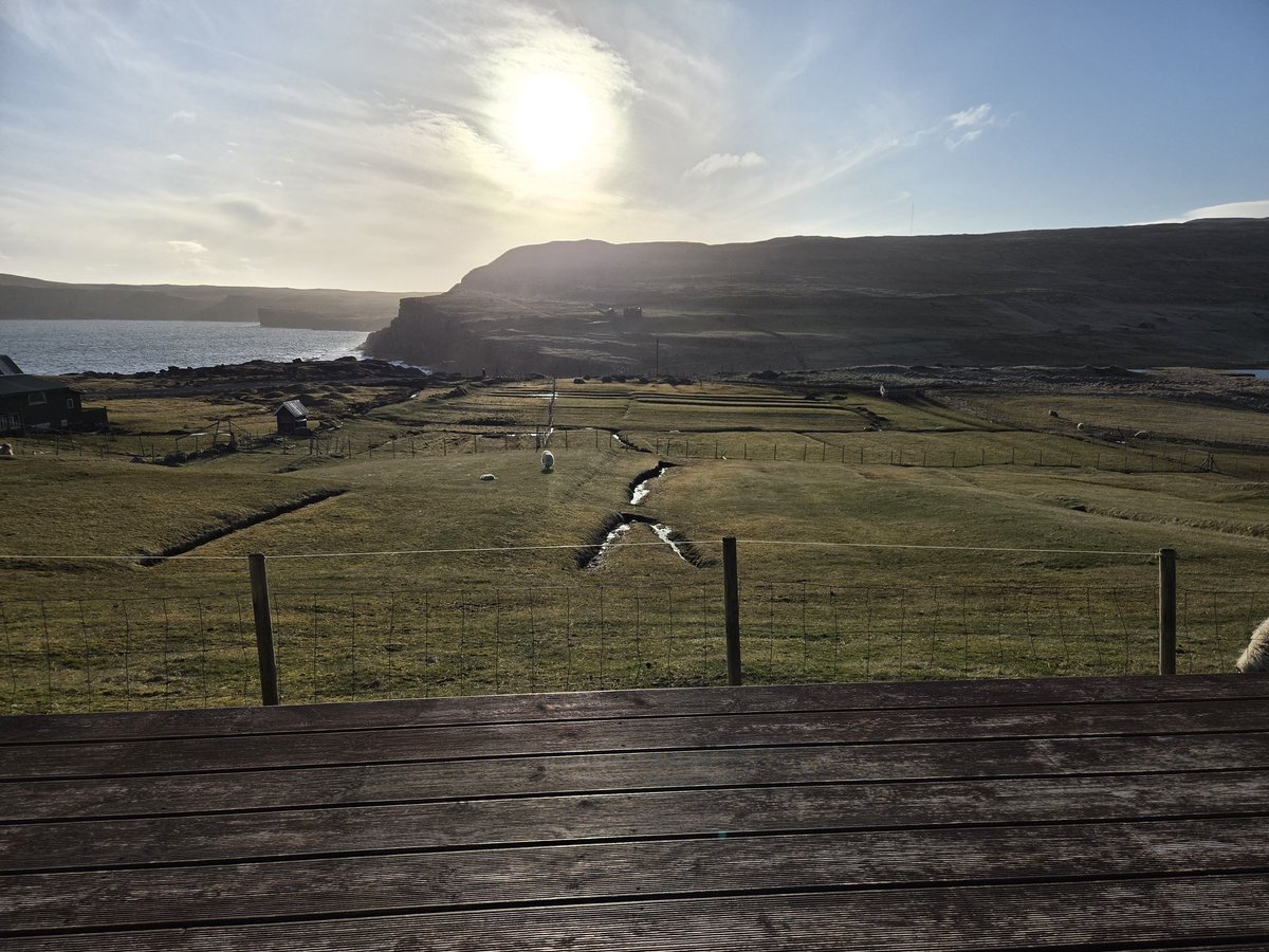 Mortan🇫🇴🇬🇱🇽🇰🇦🇱🇮🇪🏴‍☠️🇲🇩🇦🇲🇵🇸🇺🇦 tweet media