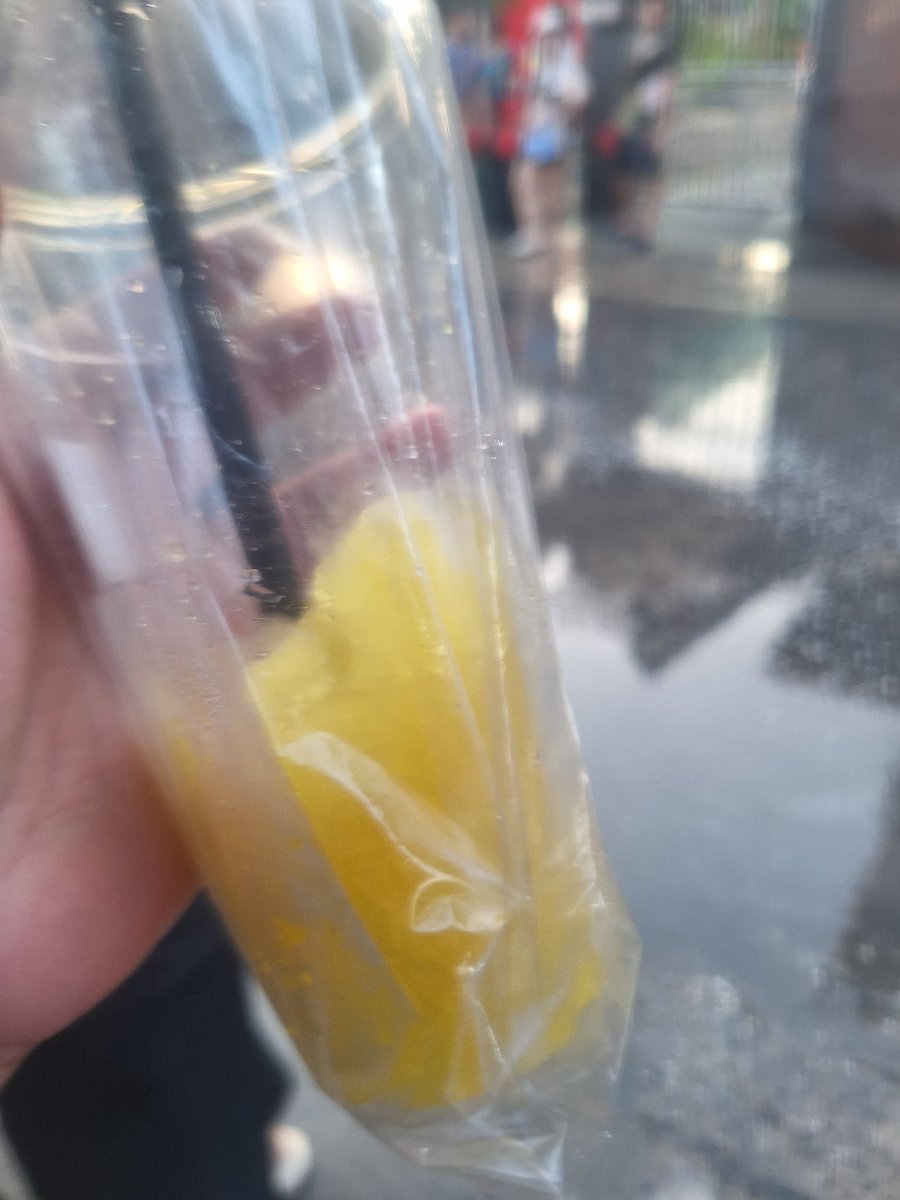 𝑷𝑨𝑵𝑫𝑨 (𝑟𝑒𝑎𝑙) 🐾🍀 tweet media