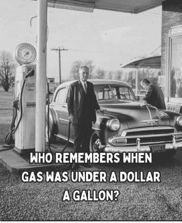 Elizabeth❣️ tweet media