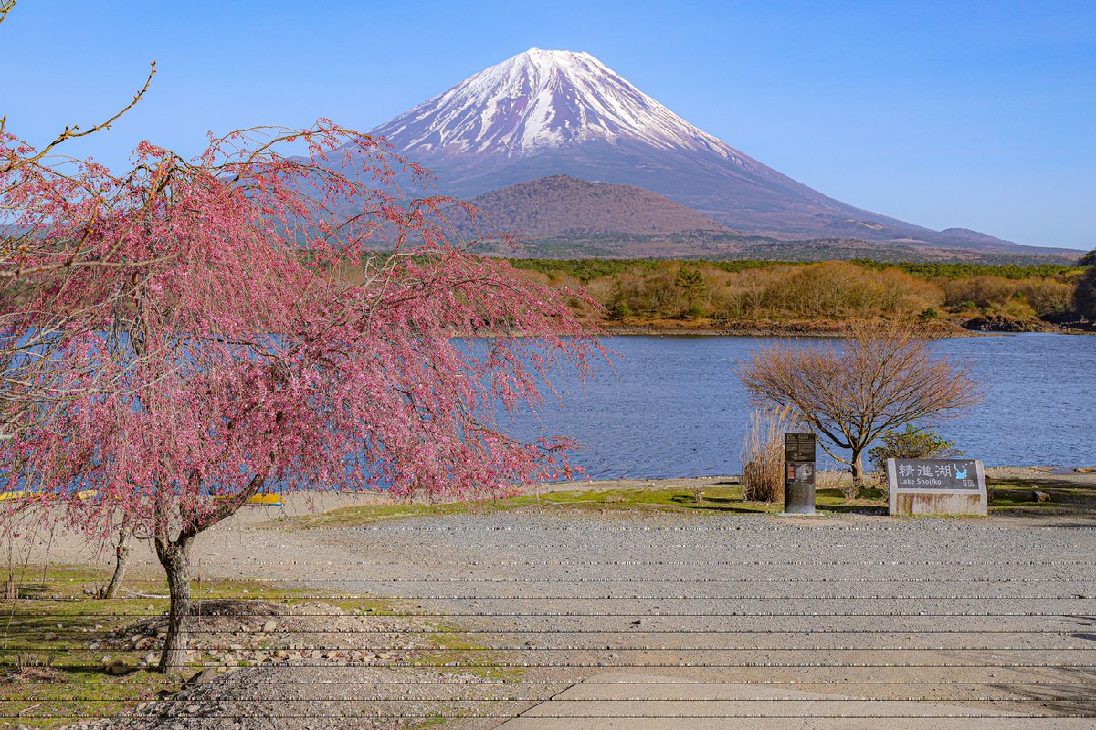 たかたか tweet media