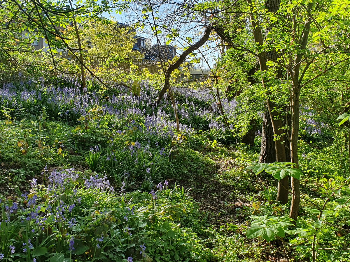 Kerovin Black tweet media