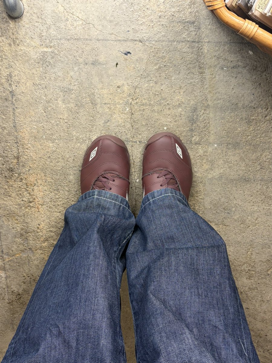 박순애 tweet media