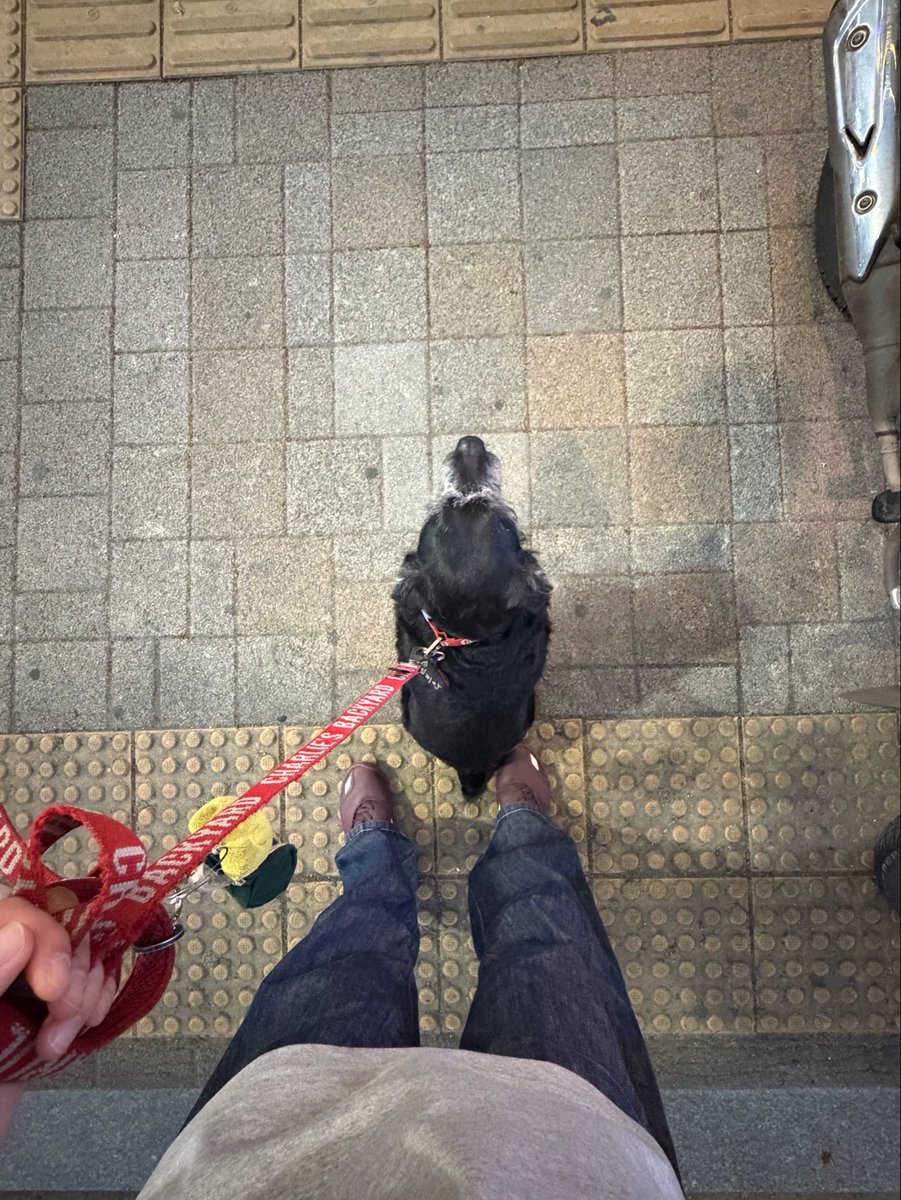 박순애 tweet media