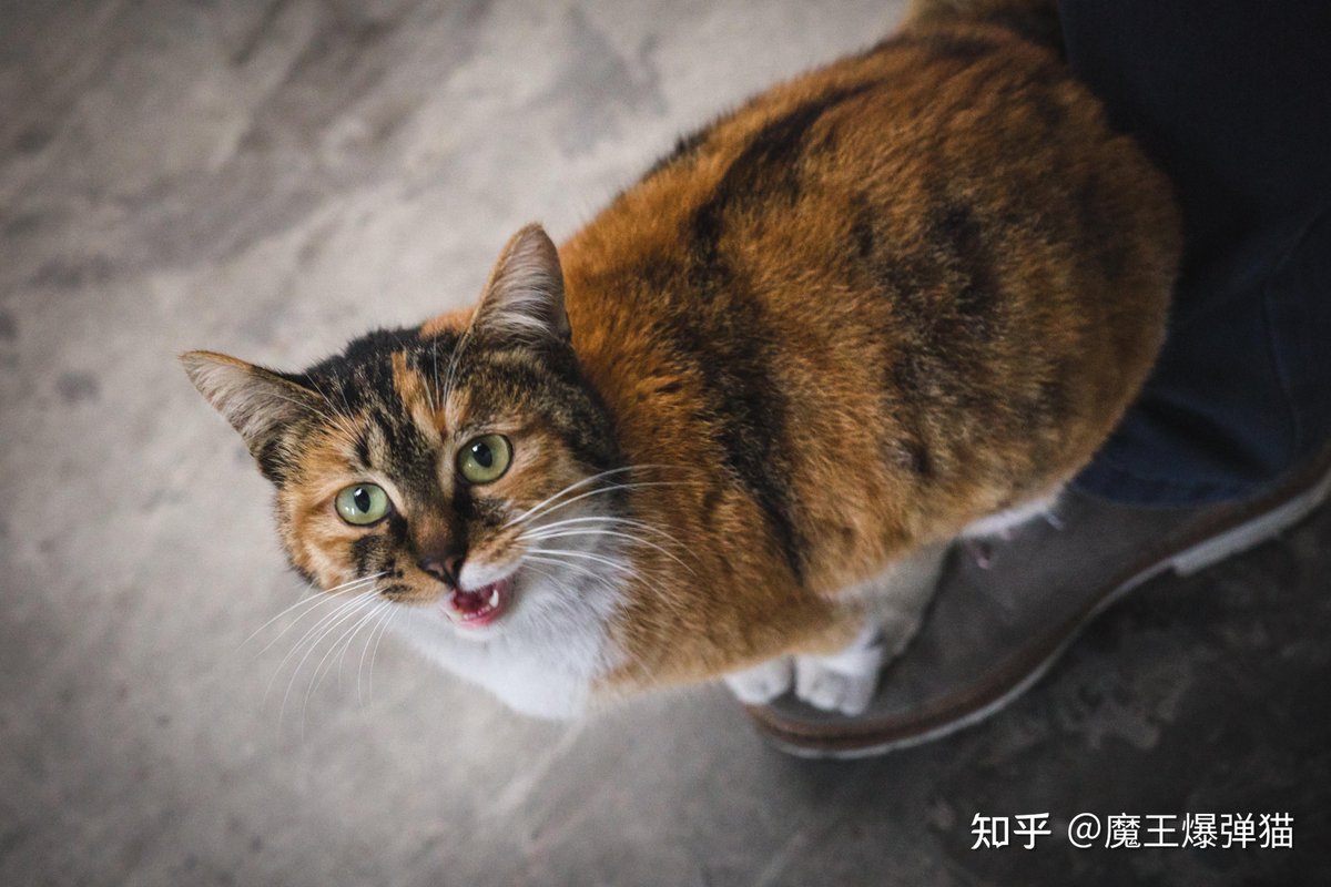 sabanengin ❤️ Memecoin tweet media